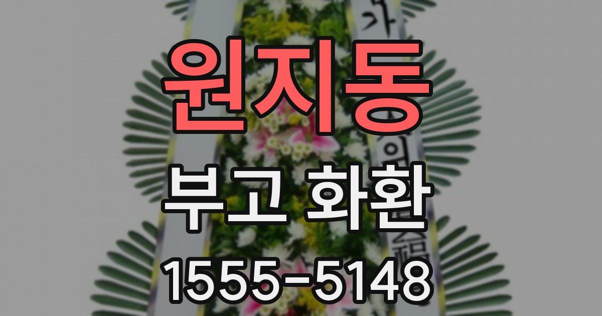 원지동 부고 화환