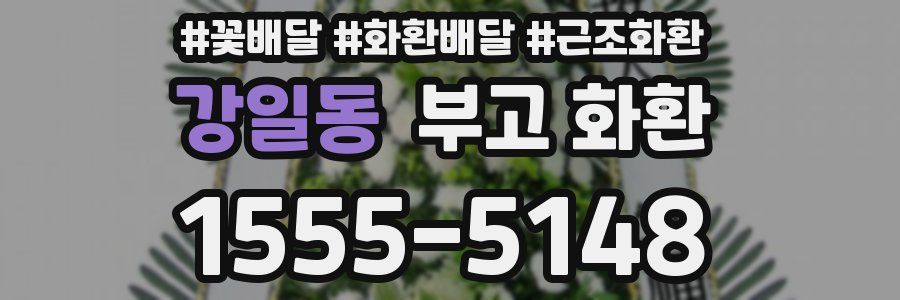 강일동 부고 화환