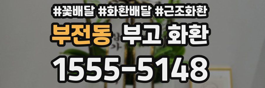 부전동 부고 화환