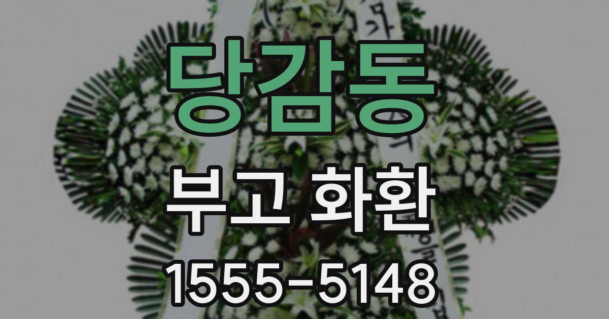 당감동 부고 화환