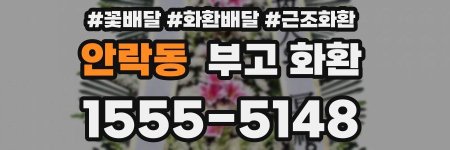 안락동 부고 화환