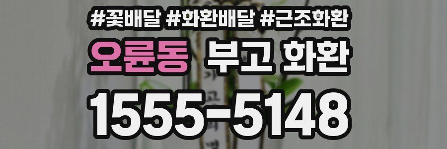 오륜동 부고 화환