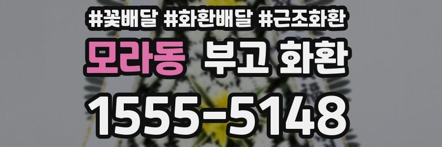 모라동 부고 화환