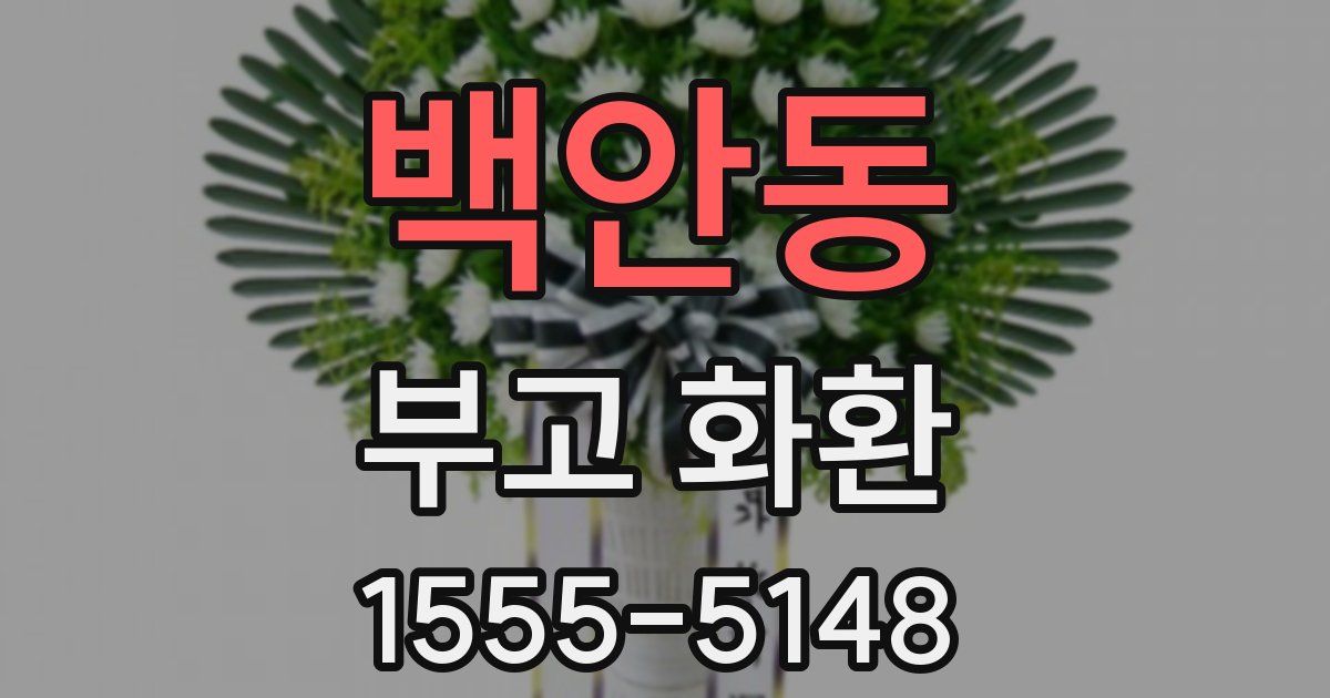 백안동 부고 화환