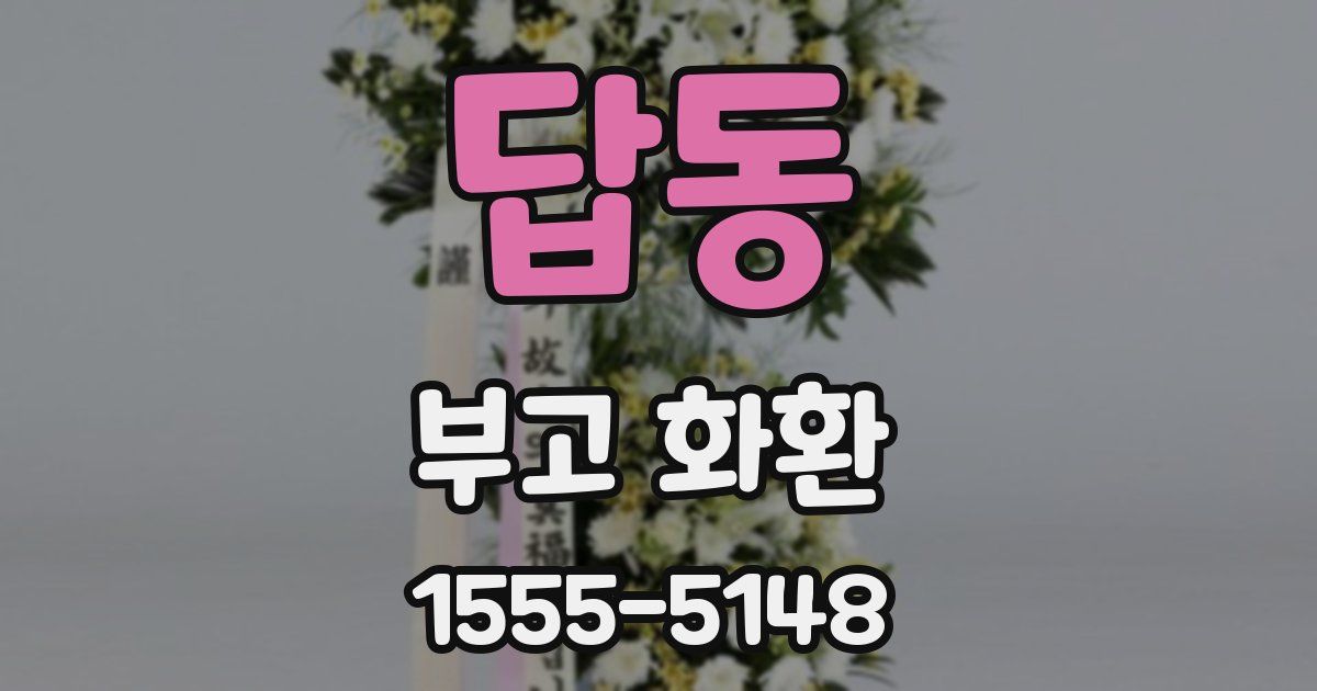 답동 부고 화환