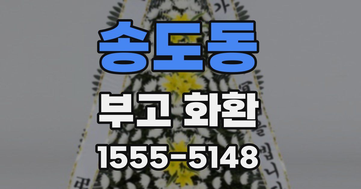송도동 부고 화환