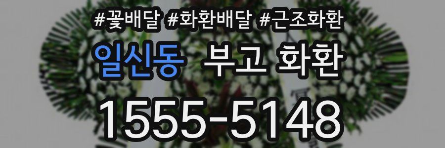 일신동 부고 화환