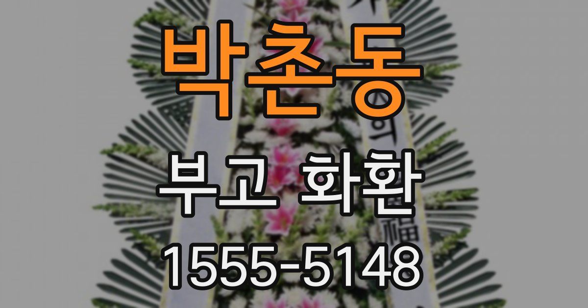박촌동 부고 화환