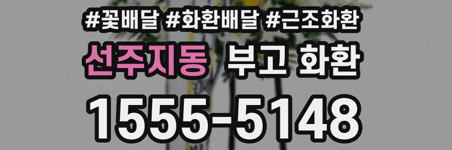 선주지동 부고 화환