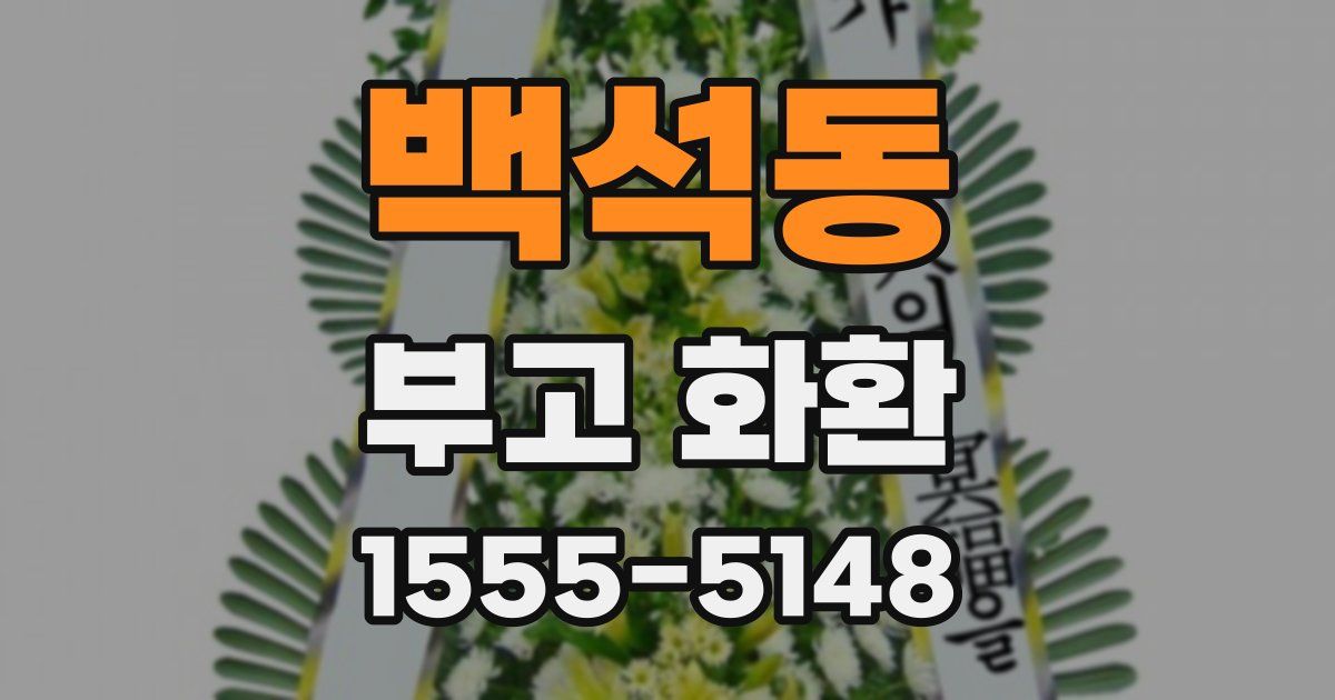백석동 부고 화환