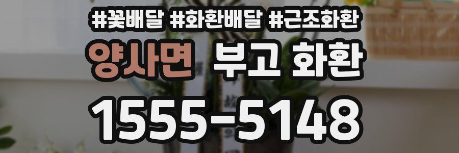 양사면 부고 화환