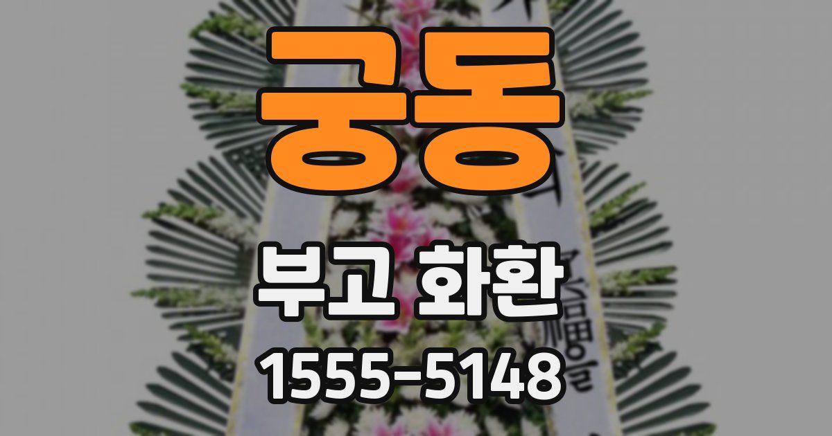 궁동 부고 화환