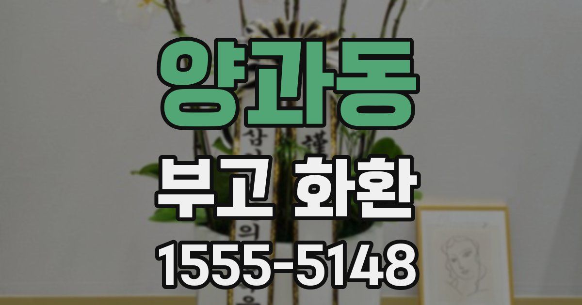 양과동 부고 화환
