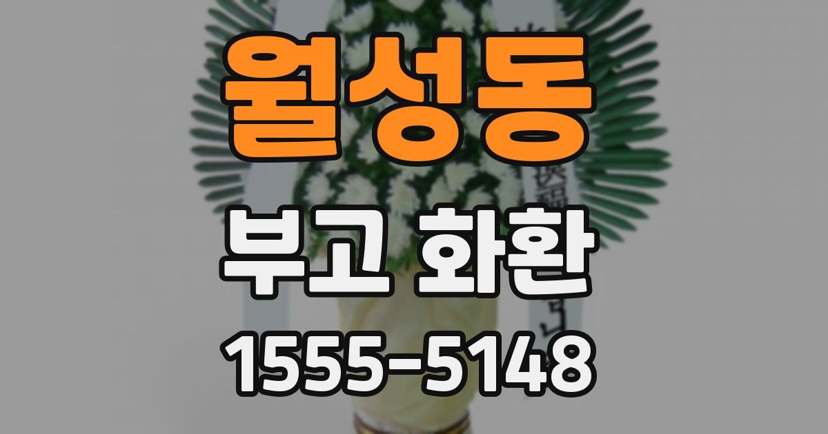 월성동 부고 화환