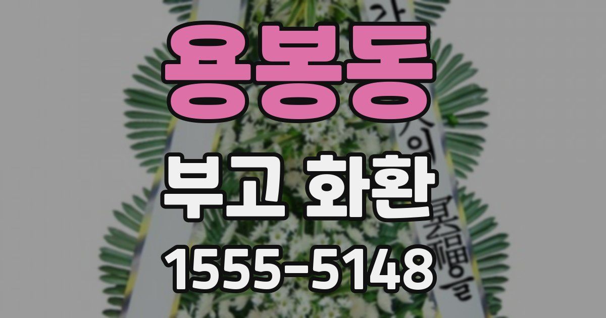 용봉동 부고 화환