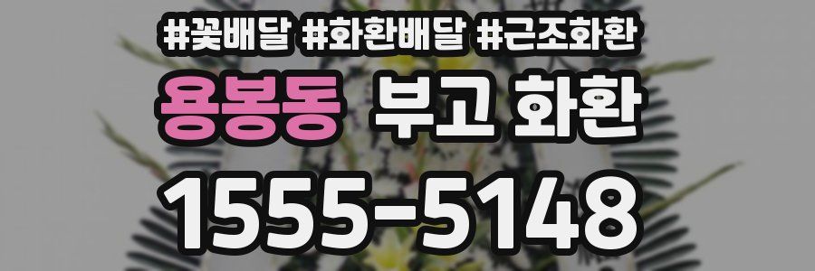 용봉동 부고 화환