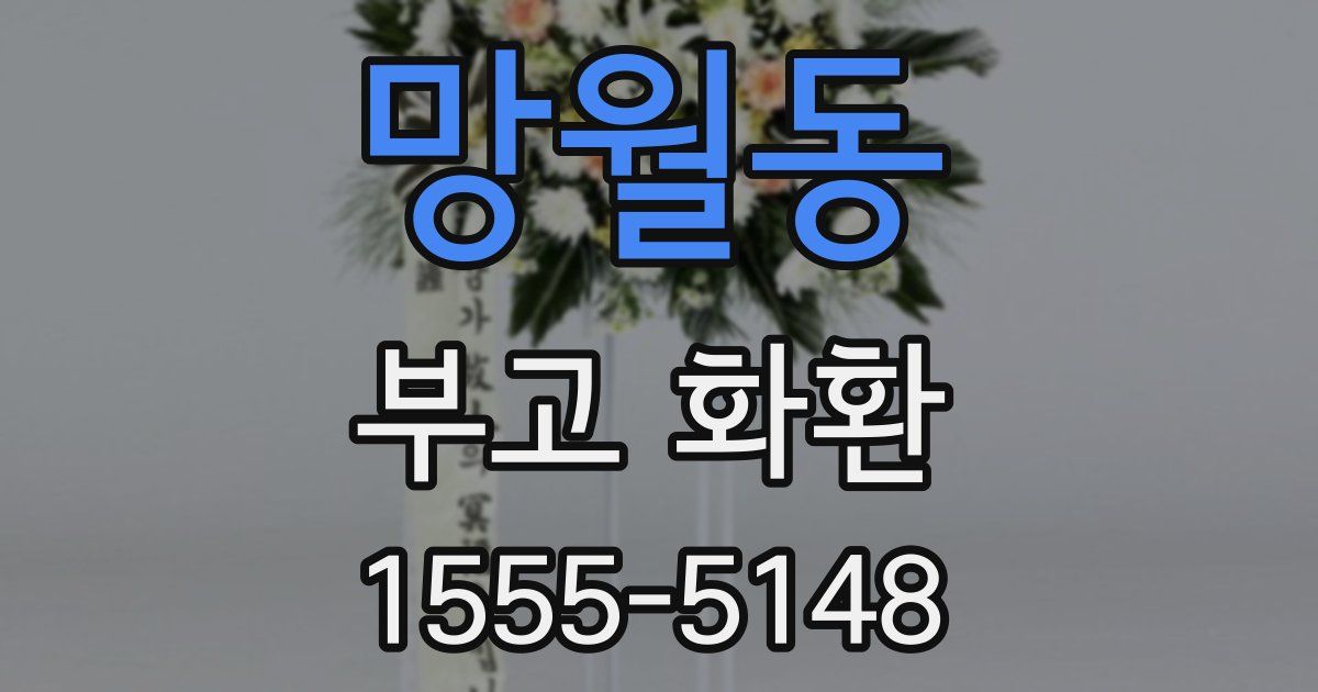 망월동 부고 화환