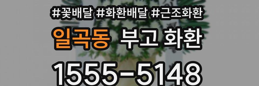 일곡동 부고 화환