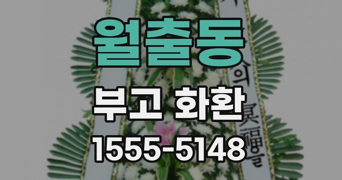 월출동 부고 화환