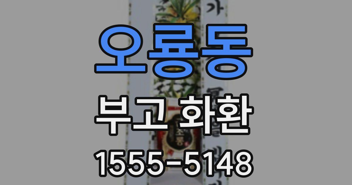 오룡동 부고 화환