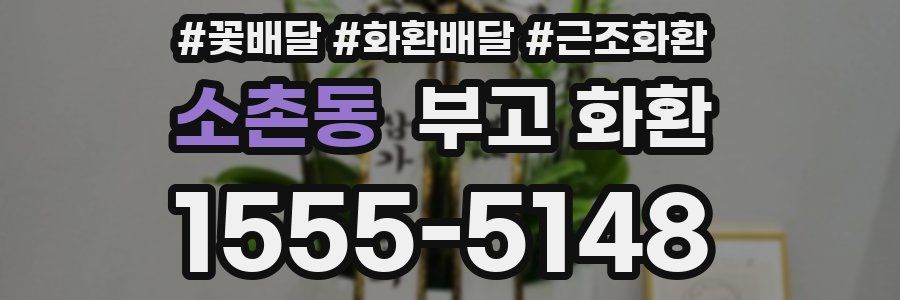 소촌동 부고 화환