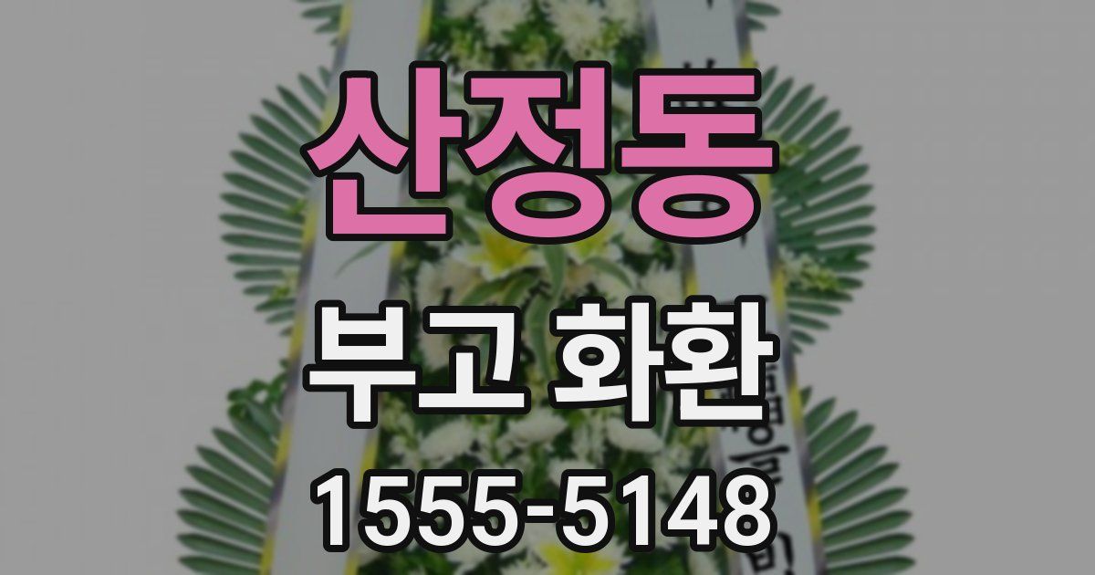 산정동 부고 화환