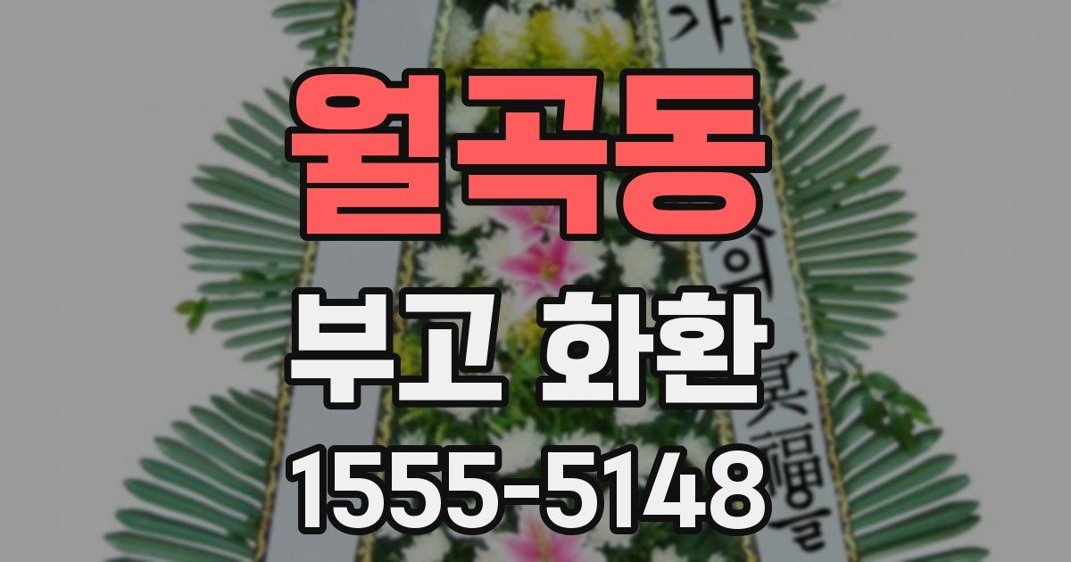 월곡동 부고 화환