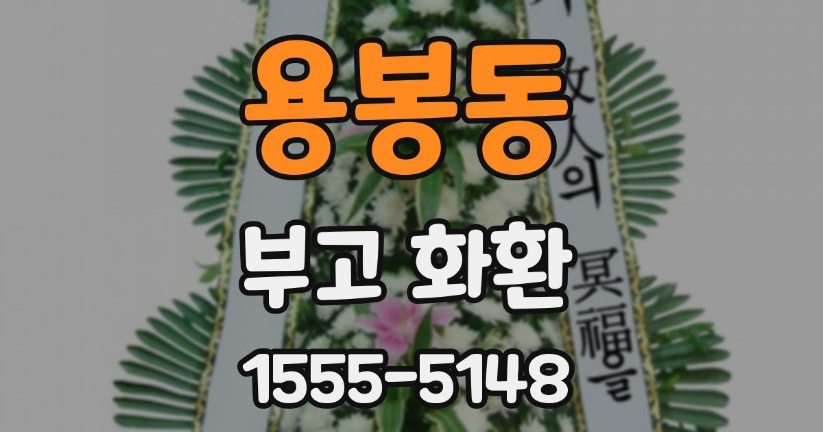 용봉동 부고 화환
