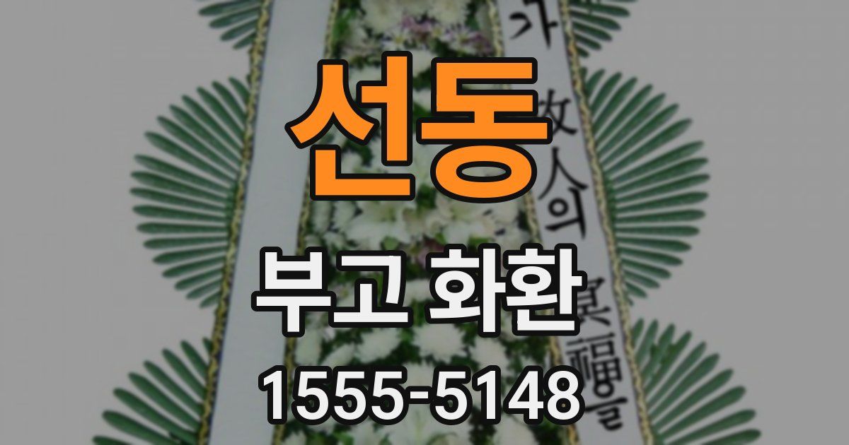 선동 부고 화환