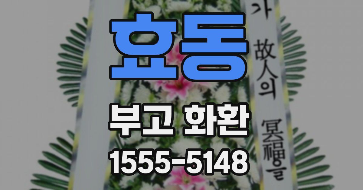 효동 부고 화환