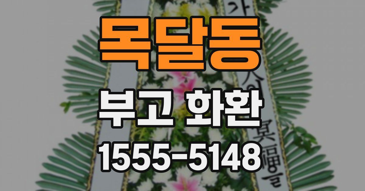 목달동 부고 화환
