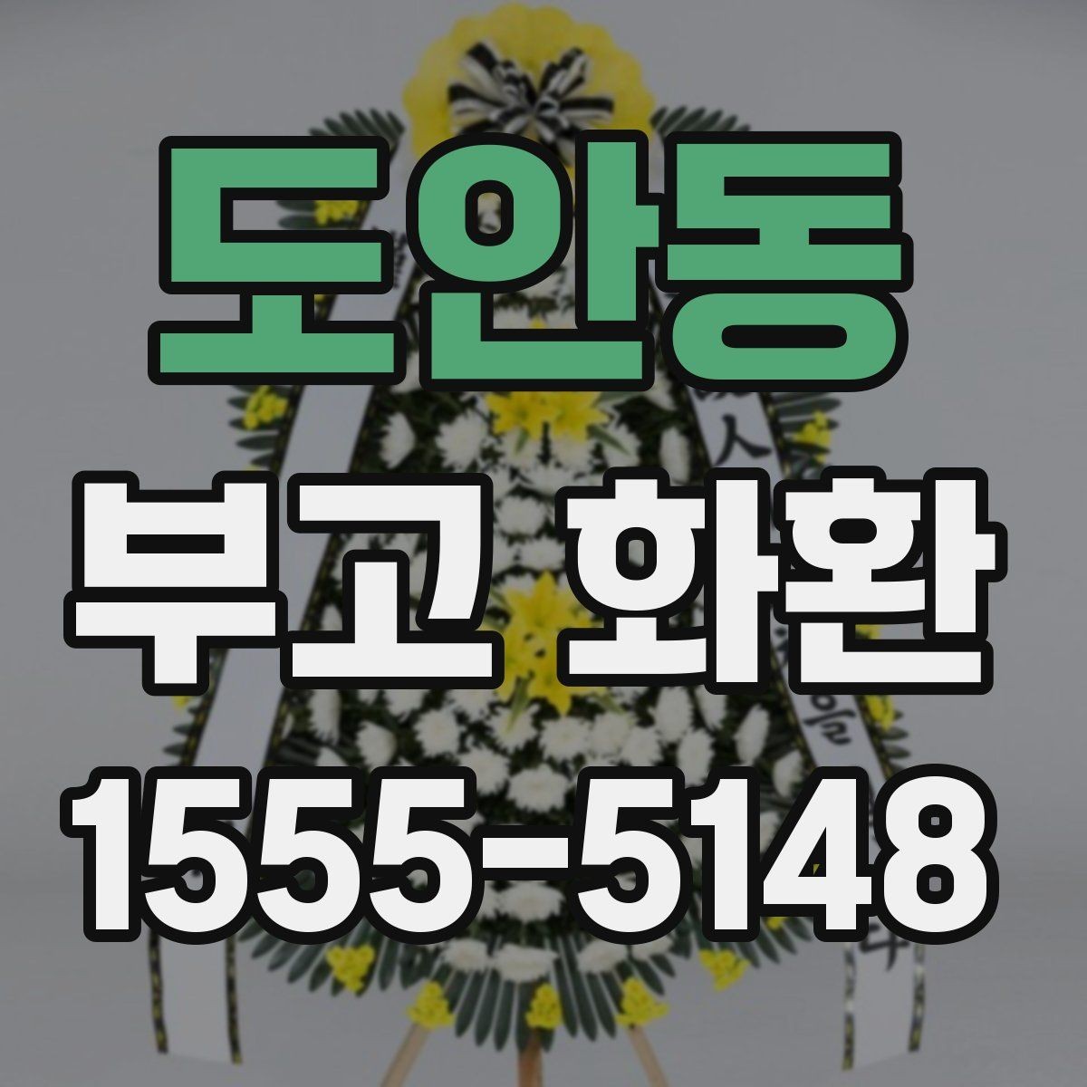 도안동 부고 화환 서비스 선택 기준과 주의점