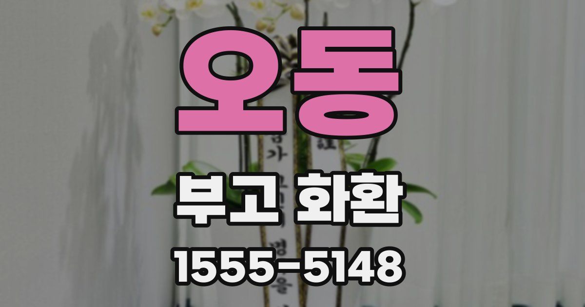 오동 부고 화환
