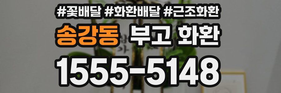 송강동 부고 화환
