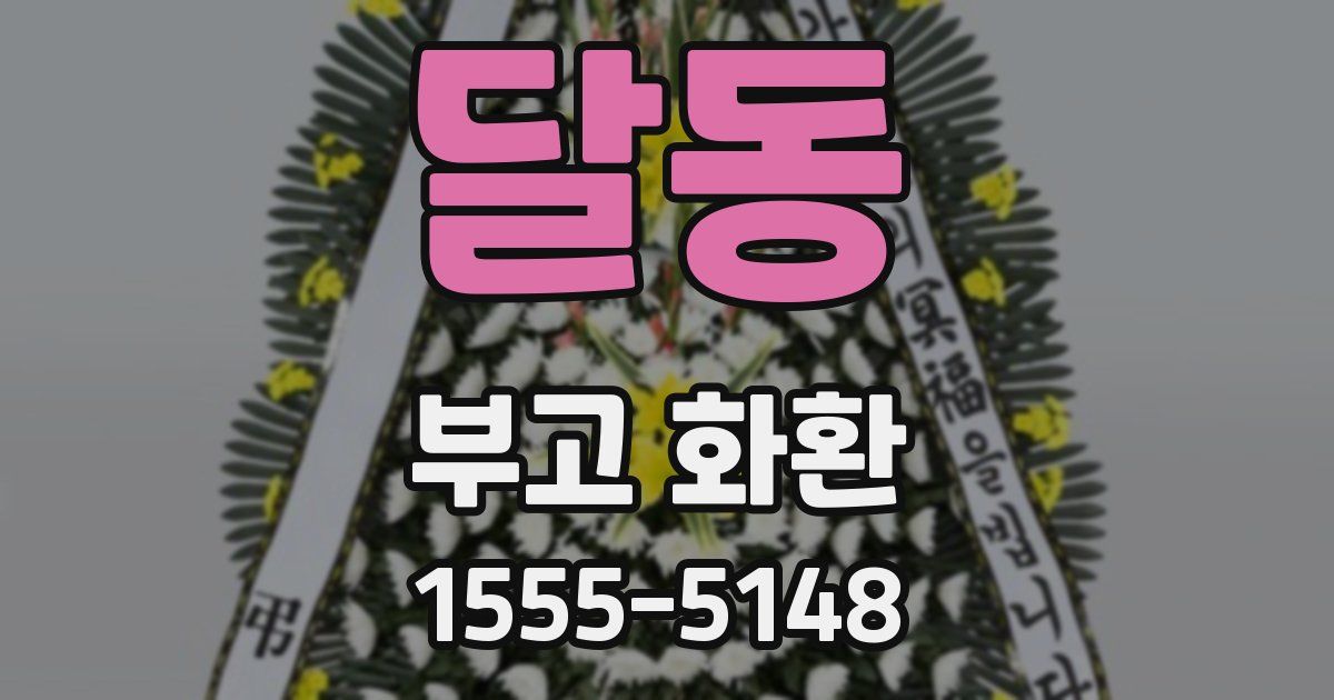 달동 부고 화환