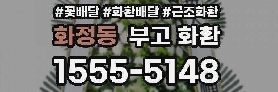 화정동 부고 화환