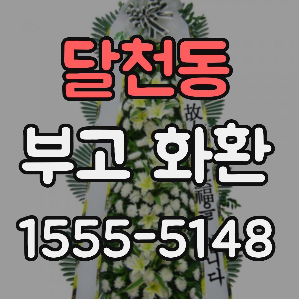 달천동 부고 화환 품질과 배송 신뢰도 비교
