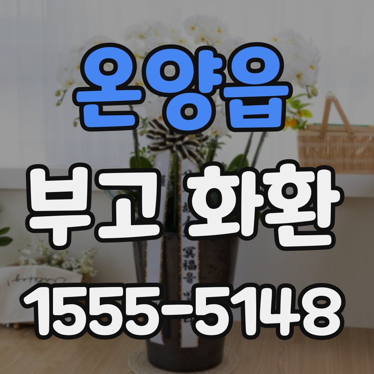 온양읍 부고 화환