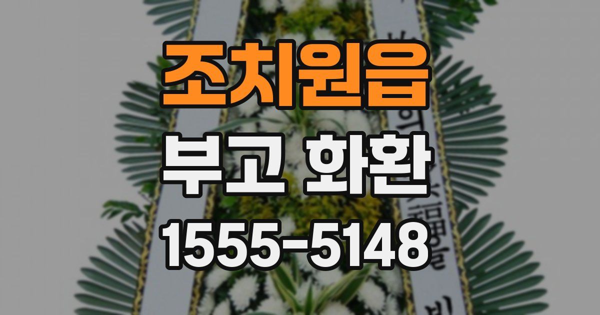 조치원읍 부고 화환
