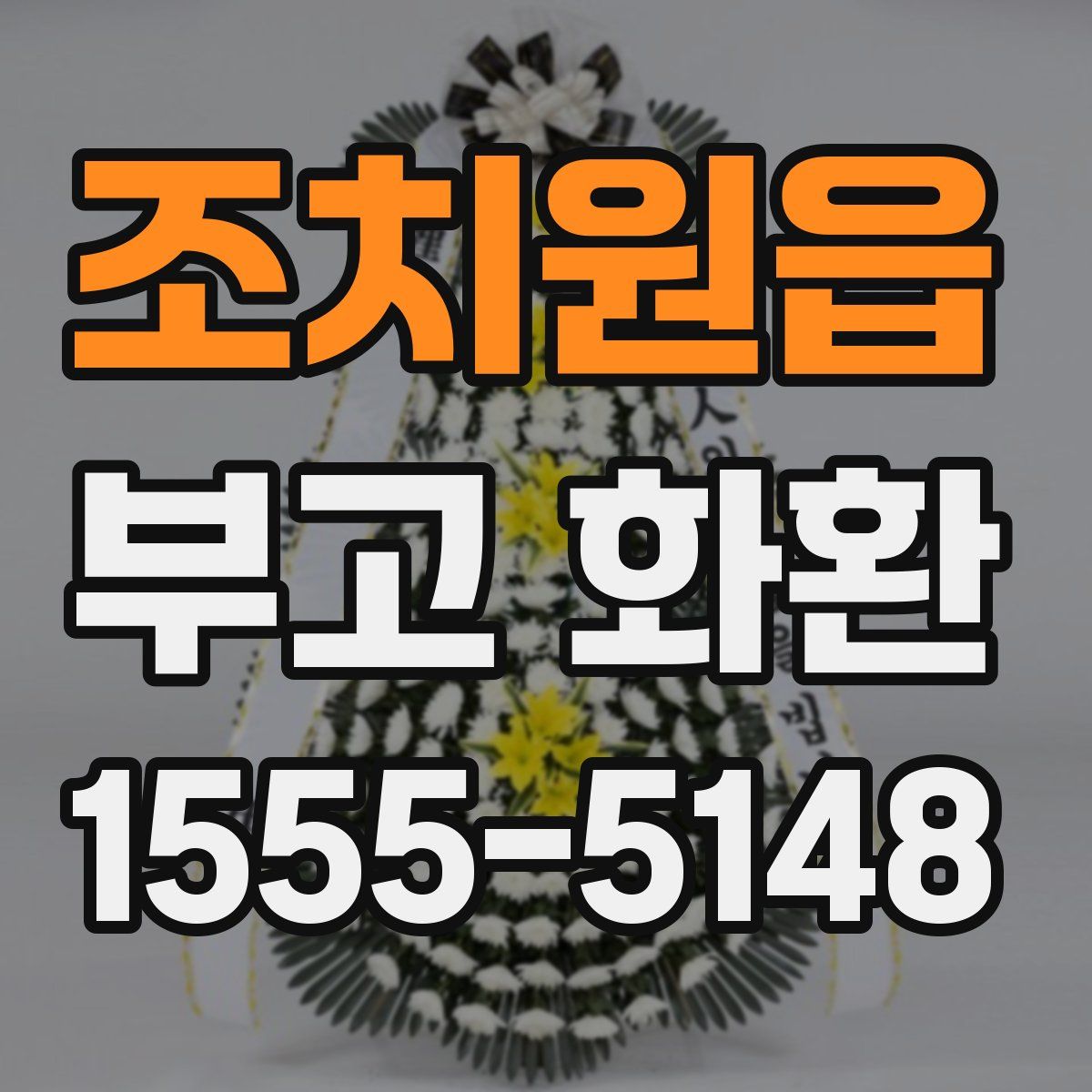 조치원읍 부고 화환