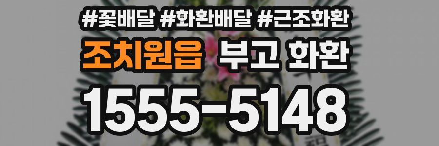 조치원읍 부고 화환