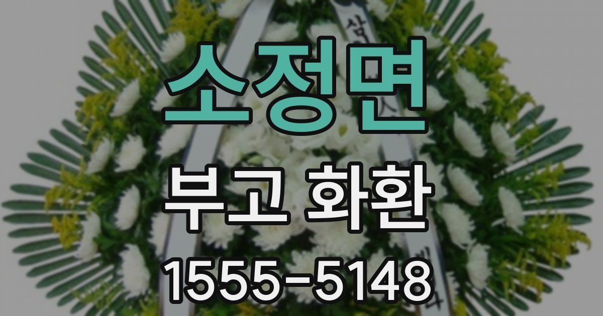소정면 부고 화환