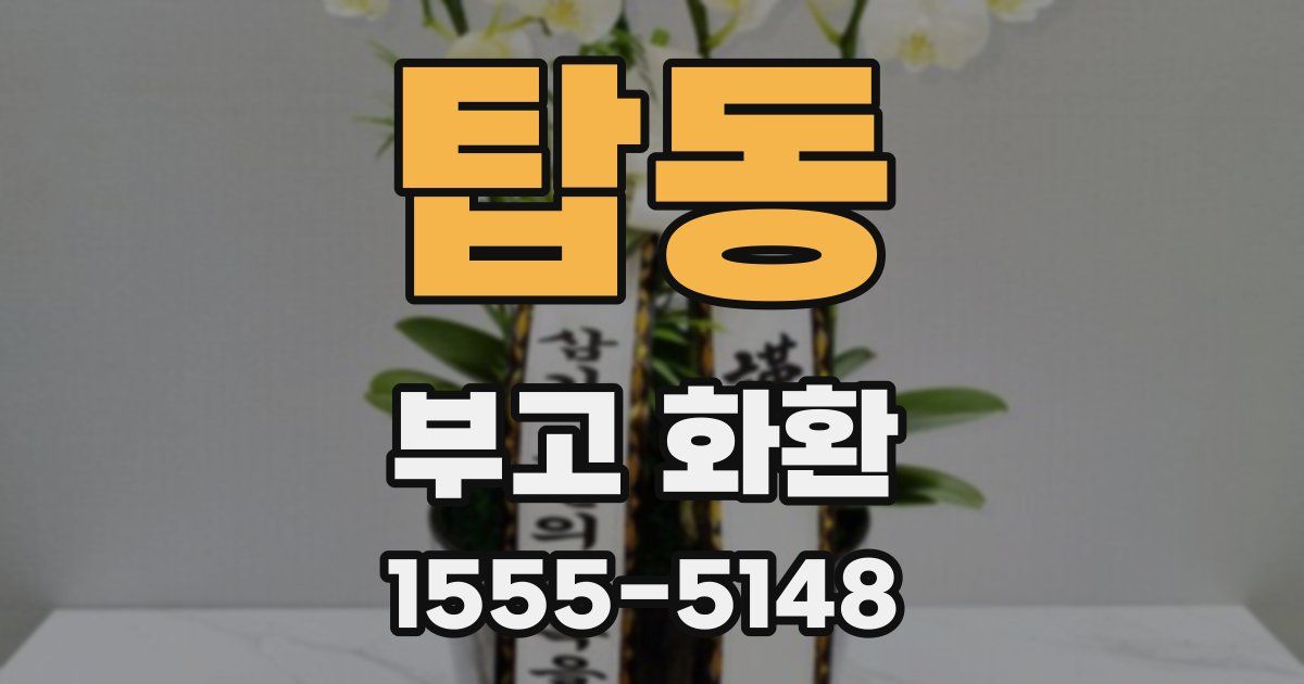 탑동 부고 화환