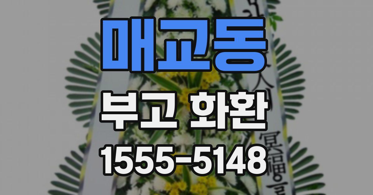 매교동 부고 화환