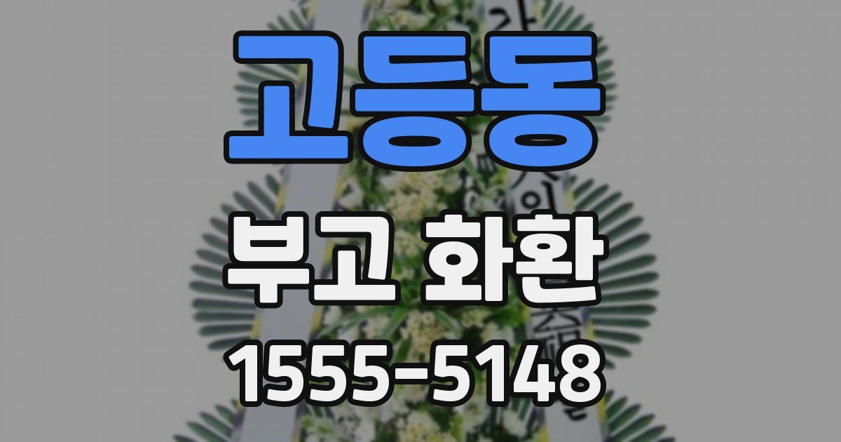 고등동 부고 화환