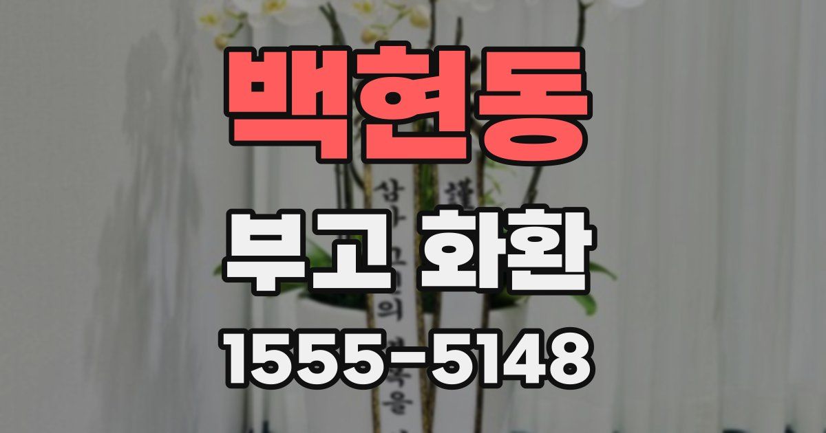 백현동 부고 화환
