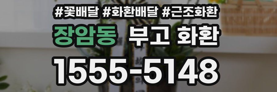장암동 부고 화환