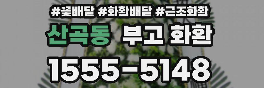 산곡동 부고 화환