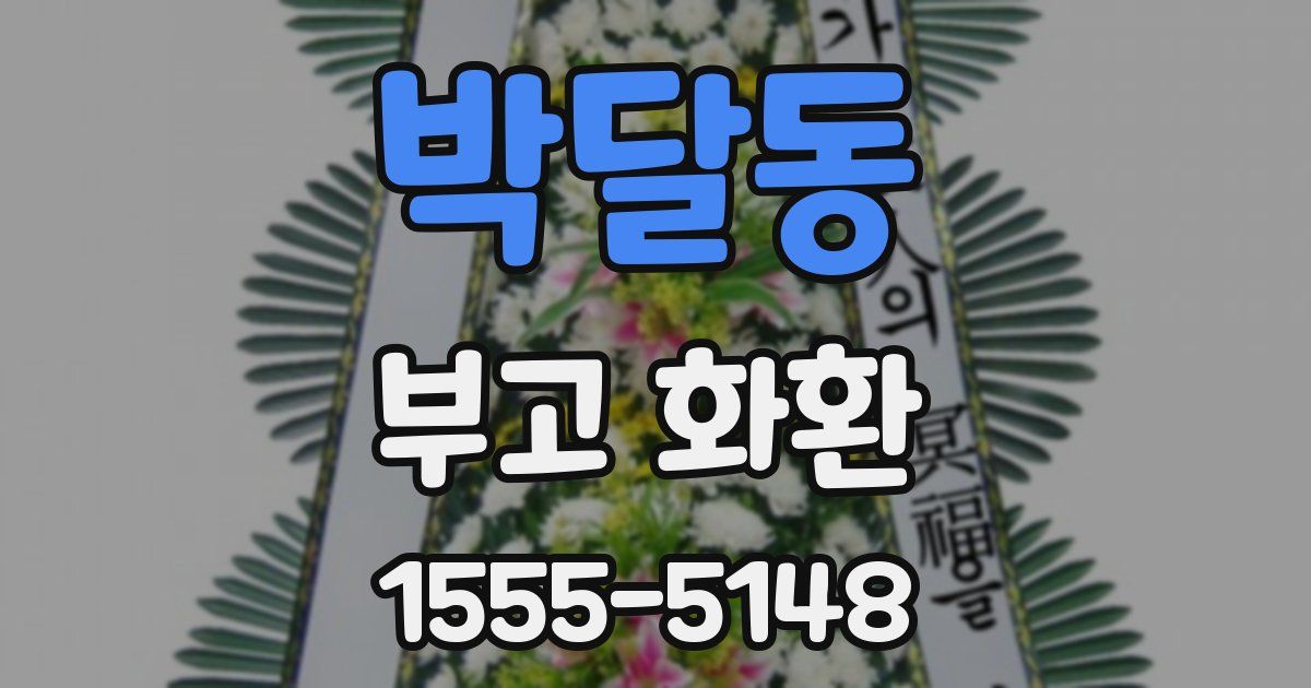 박달동 부고 화환