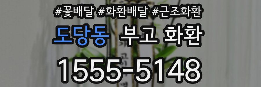 도당동 부고 화환